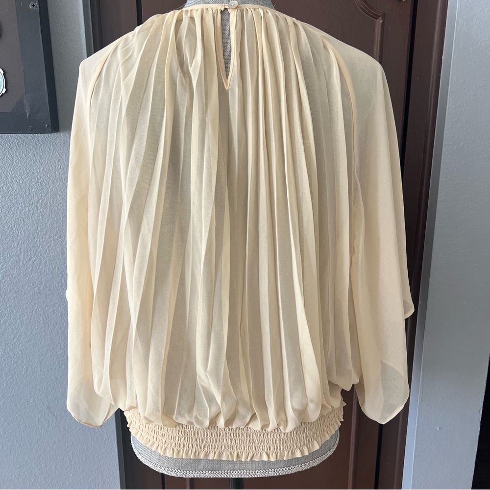 Meadow Rue Pleated Sheer Flyaway Blouse - Picture 8 of 12